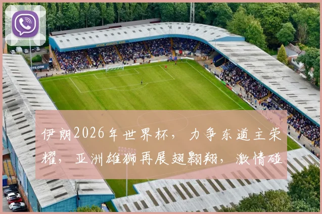 伊朗2026年世界杯，力争东道主荣耀，亚洲雄狮再展翅翱翔，激情碰撞