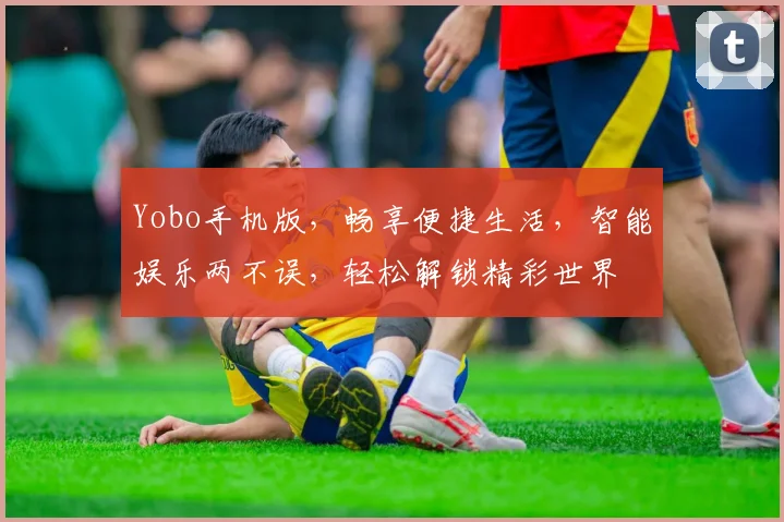 Yobo手机版，畅享便捷生活，智能娱乐两不误，轻松解锁精彩世界